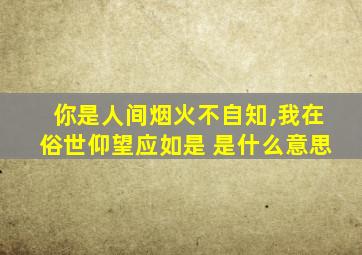 你是人间烟火不自知,我在俗世仰望应如是 是什么意思